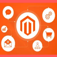 I will do magento bug fixes and development